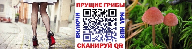 Галлюциногенные грибы ЛСД  Купить закладки  Ишим 